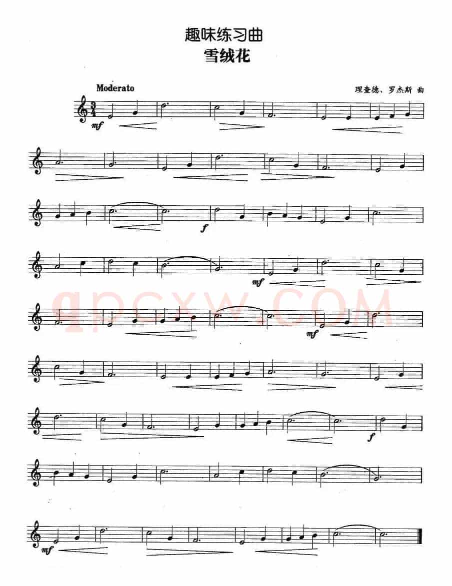 趣味练习曲：雪绒花