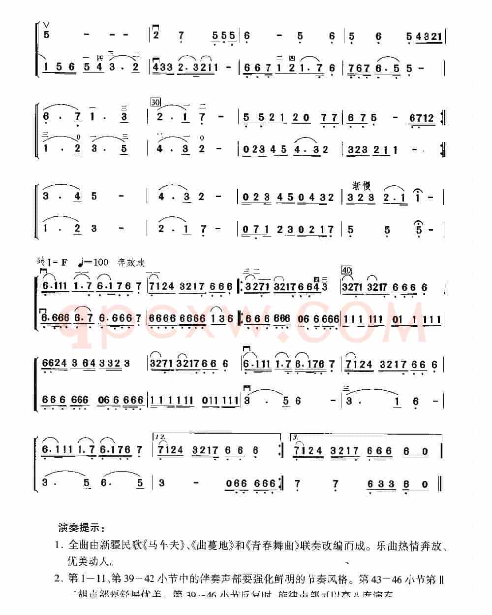 天山情怀（二重奏）