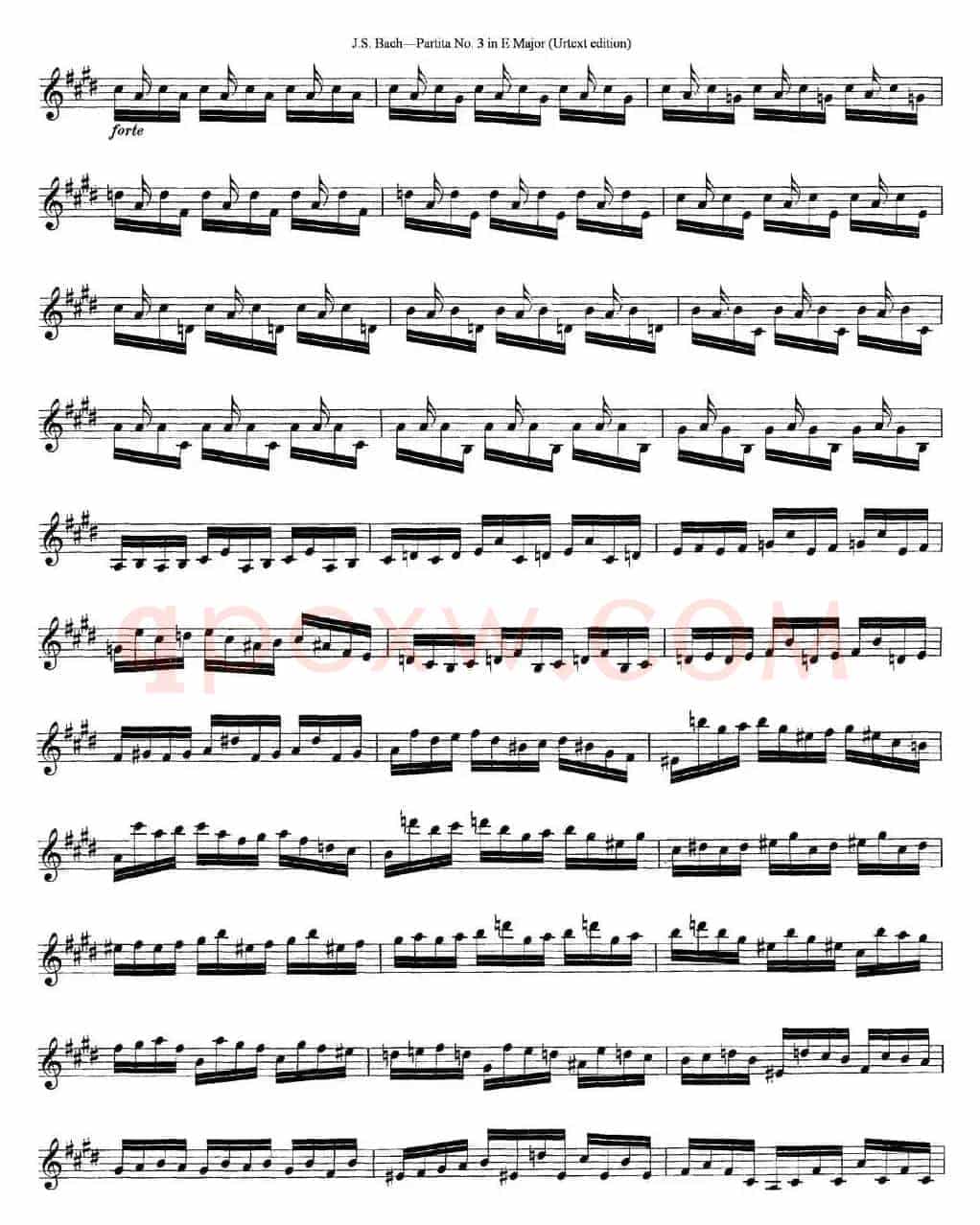 6 Violin Sonatas and Partitas 6.Partita No.3 in E Major（Urtext edition）