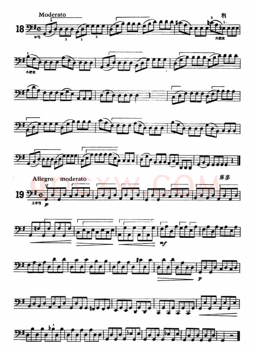 大提琴练习曲：大把位（16—21）