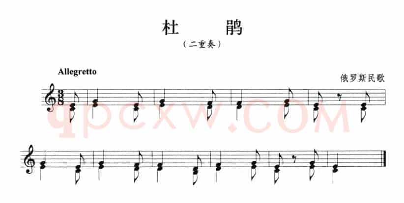 杜鹃（小号）