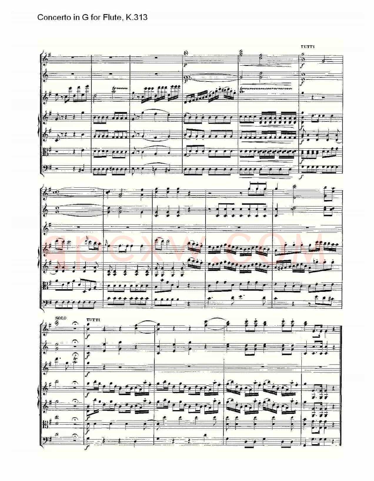 Concerto in G for Flute, K.313（G调长笛协奏曲, K.313）