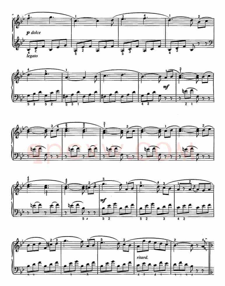 不可不弹的世界钢琴名曲：勿忘我