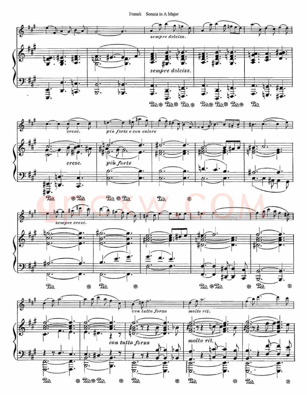 Franck Sonata in A Major（小提琴+钢琴伴奏）