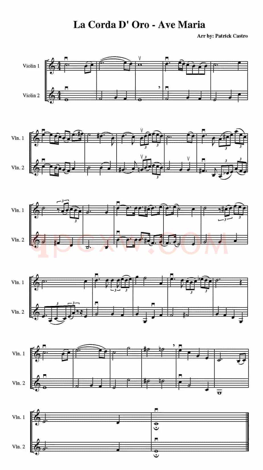 La Corda D' Oro - Ave Maria（金弦月下合奏的《圣母颂》）