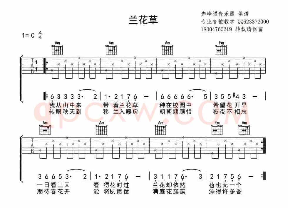 兰花草（7个版本）