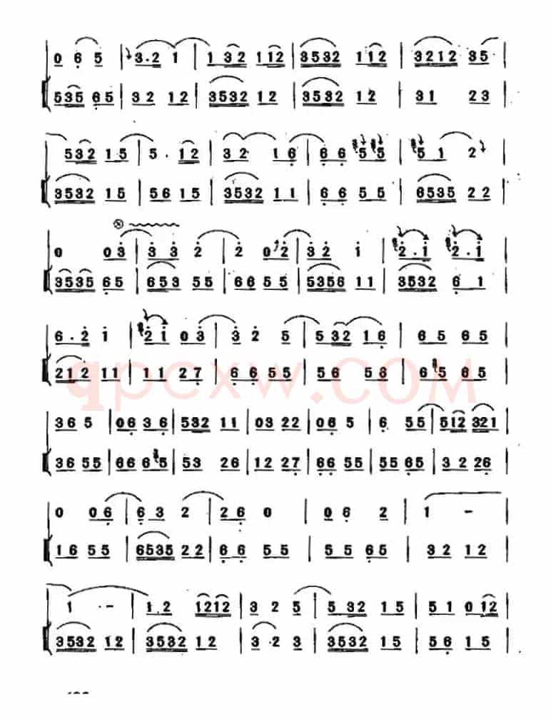 大金笙（唢呐+二胡）