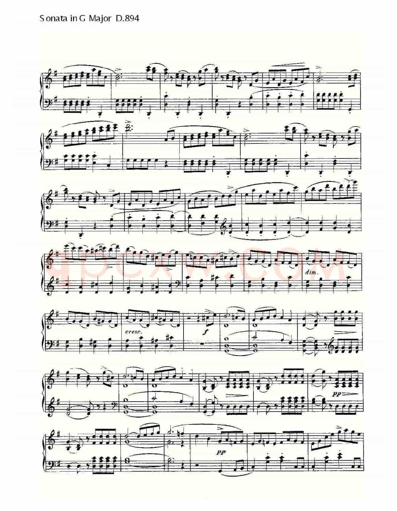 Sonata in G Major D.894(G大调奏鸣曲 D.894)