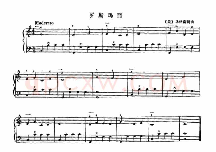 罗斯玛丽