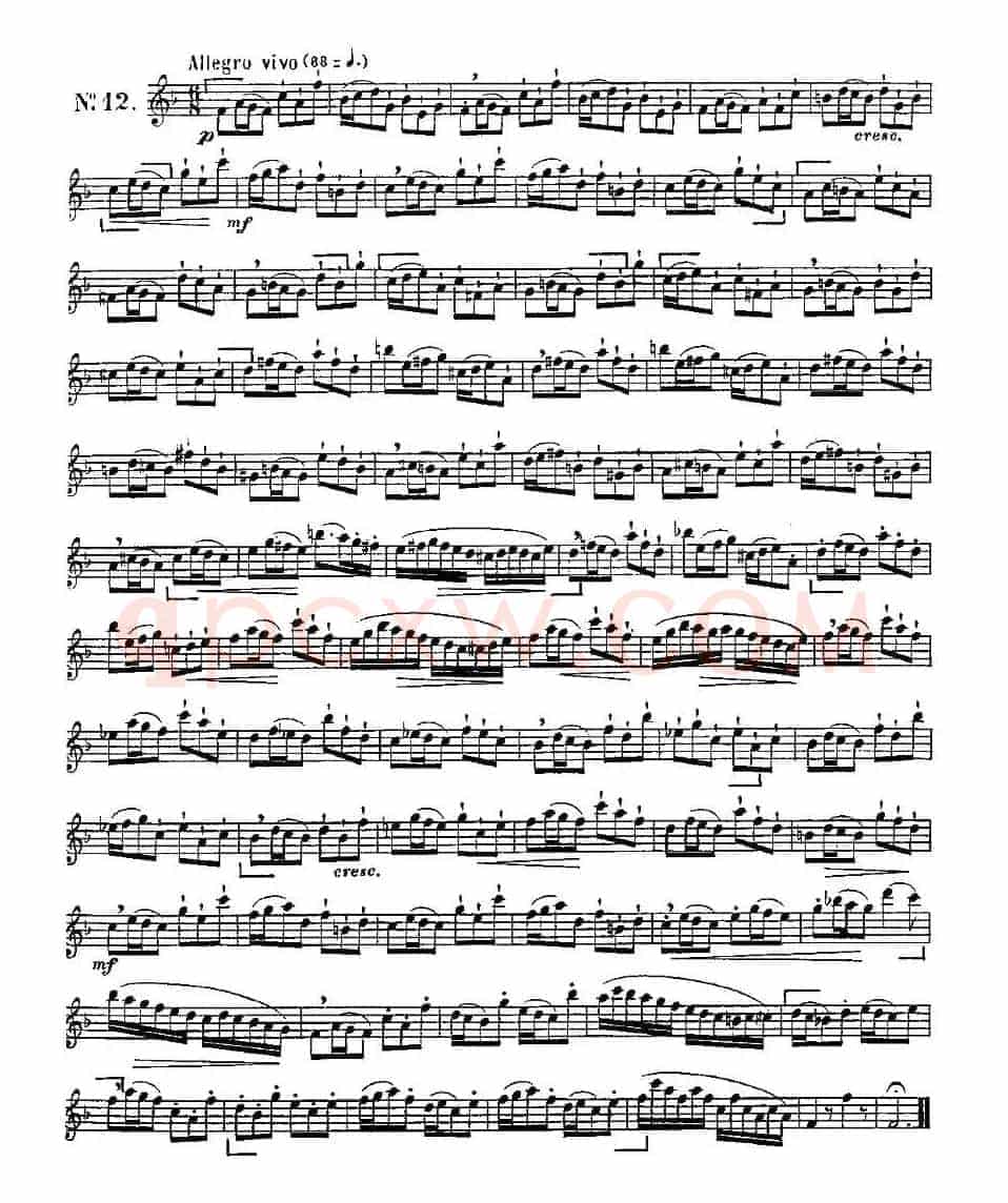 15首如歌的练习曲之11—15
