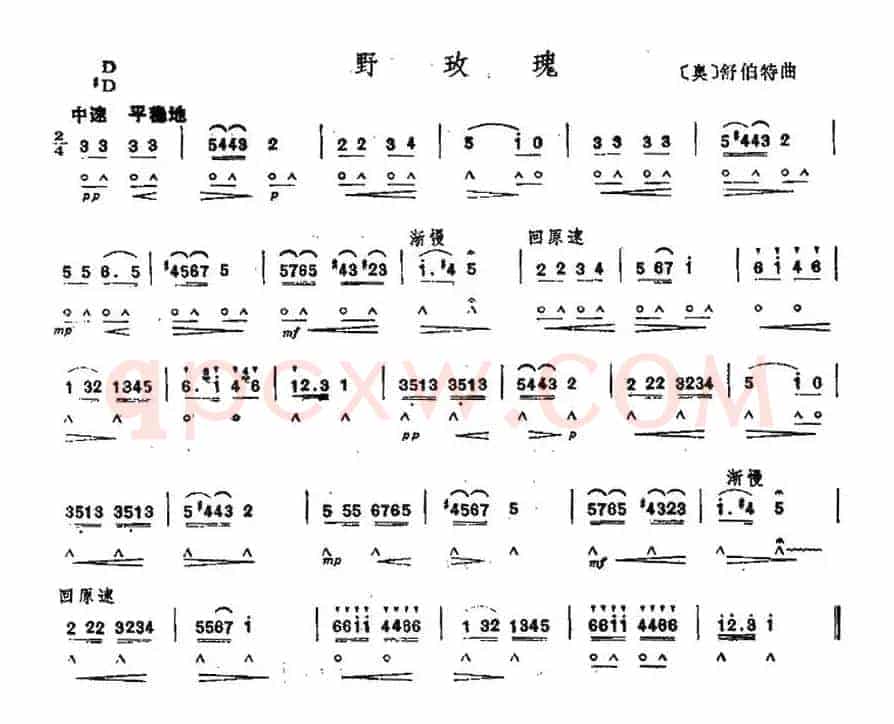 野玫瑰