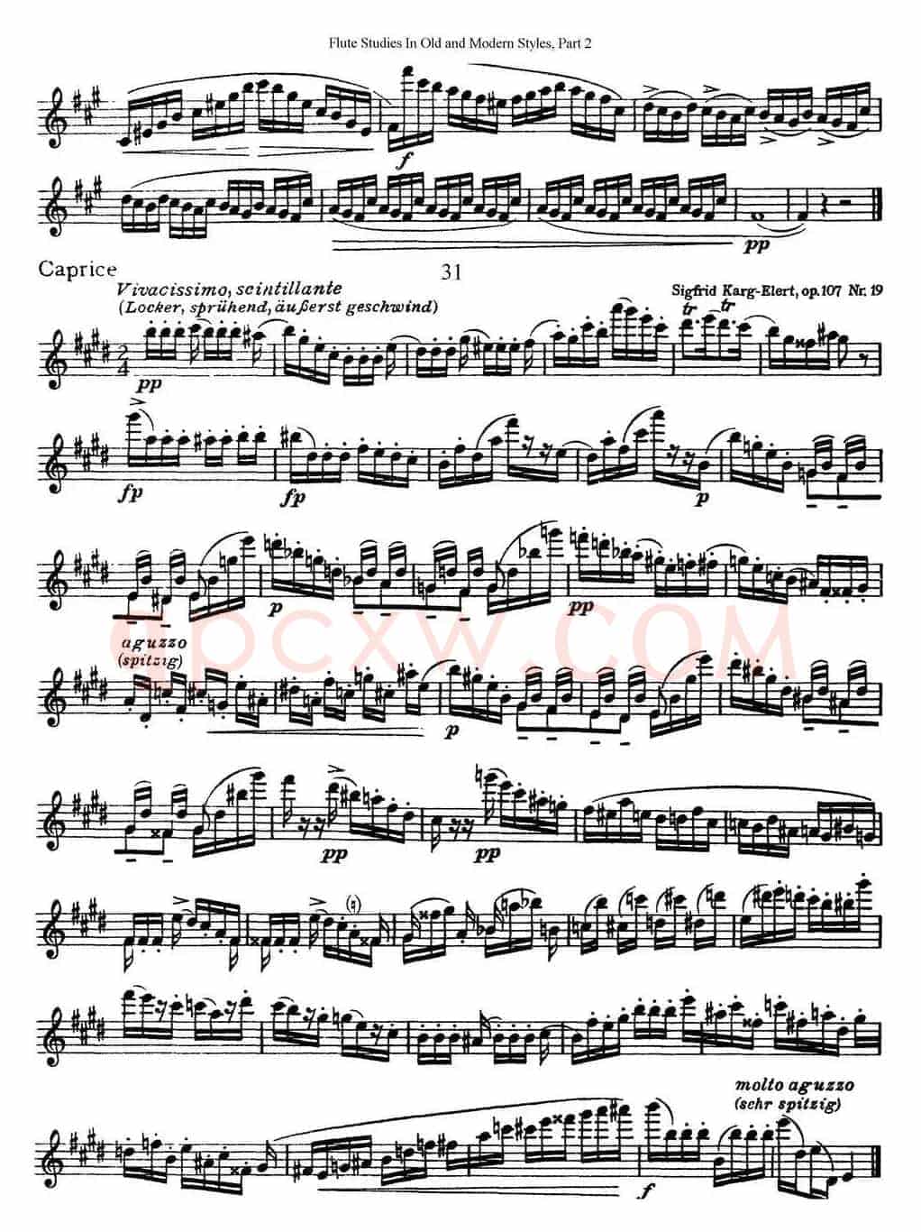 斯勒新老风格长笛练习重奏曲（第二部分）（NO.30-NO.31）