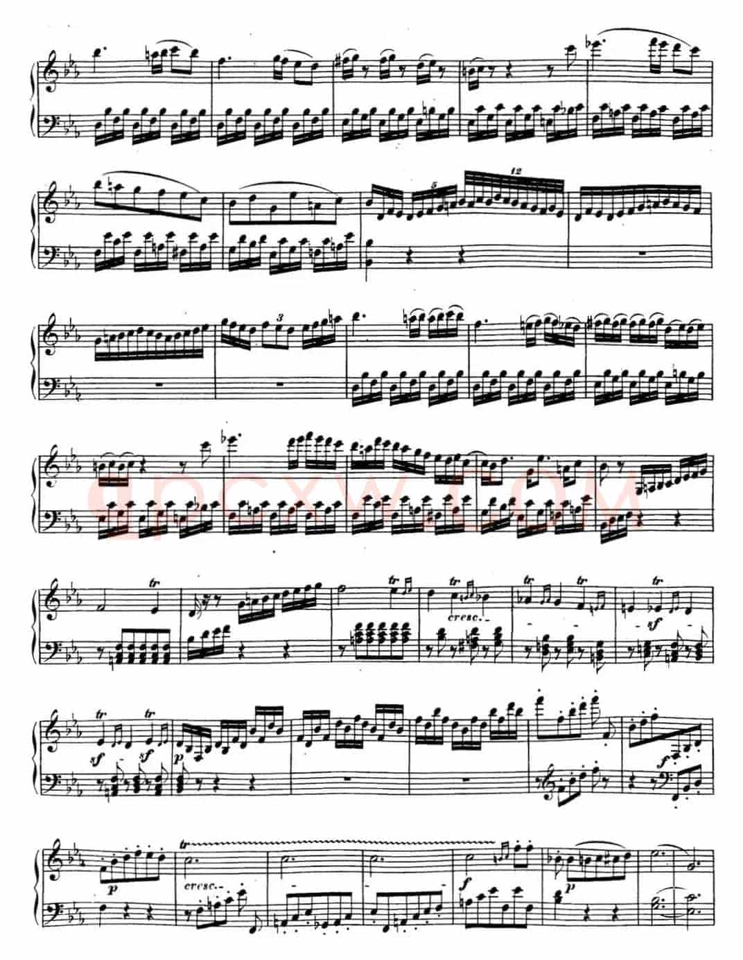 贝多芬钢琴奏鸣曲18 狩猎 降E大调 Op.31 No.3 E-flat major