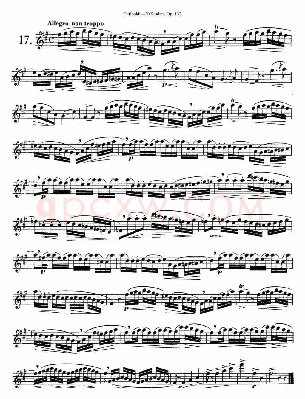 二十首练习曲作品132号之17
