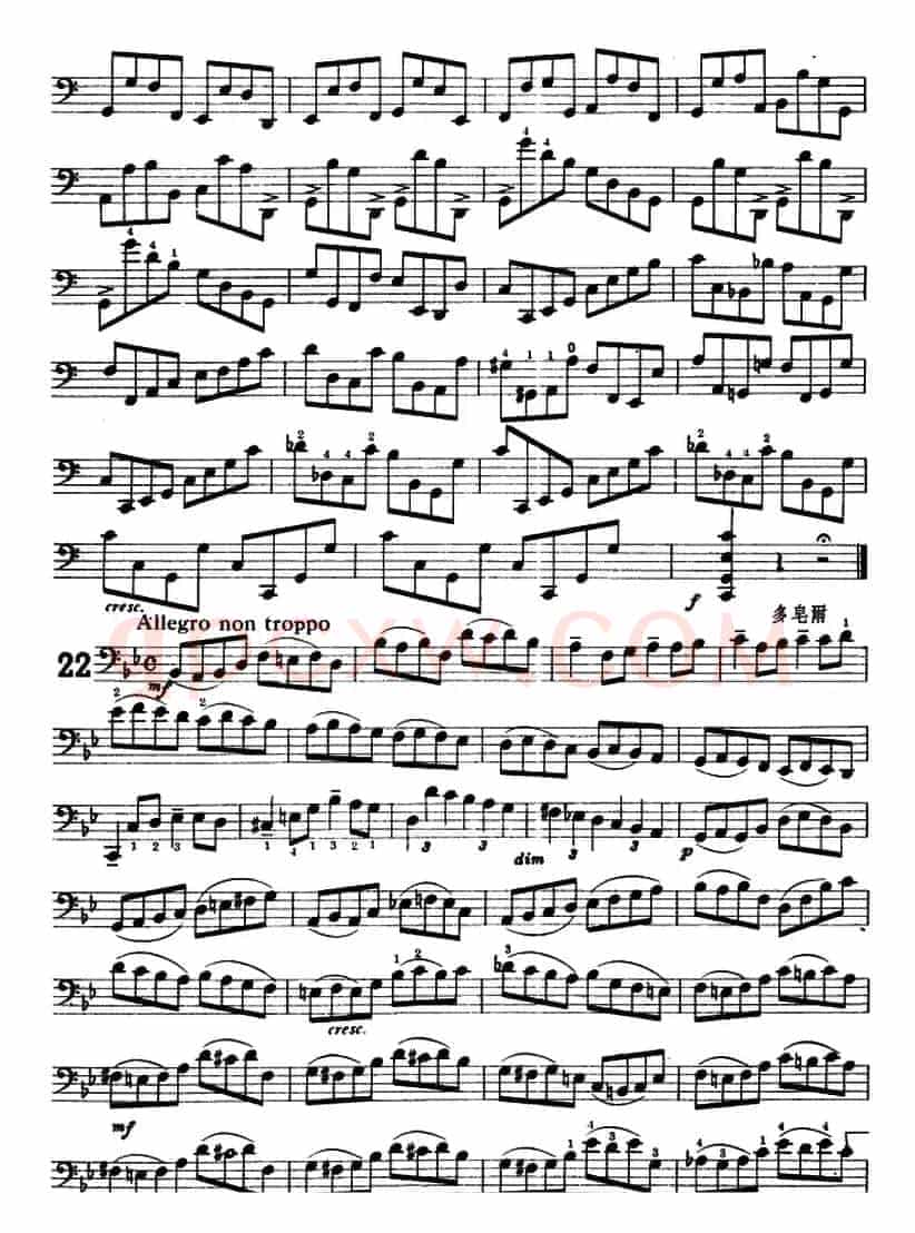 鲍斯特列姆大提琴练习曲（20-23）