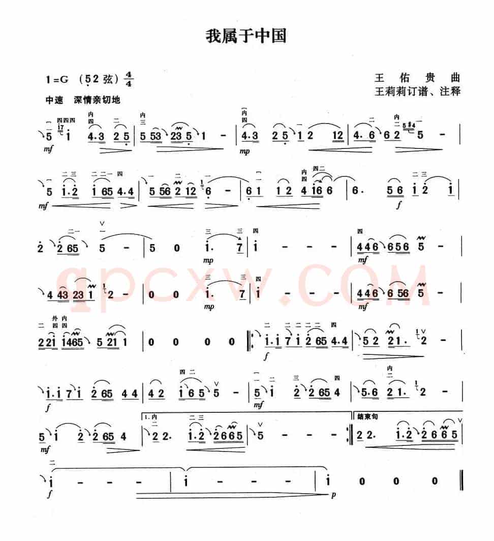 我属于中国