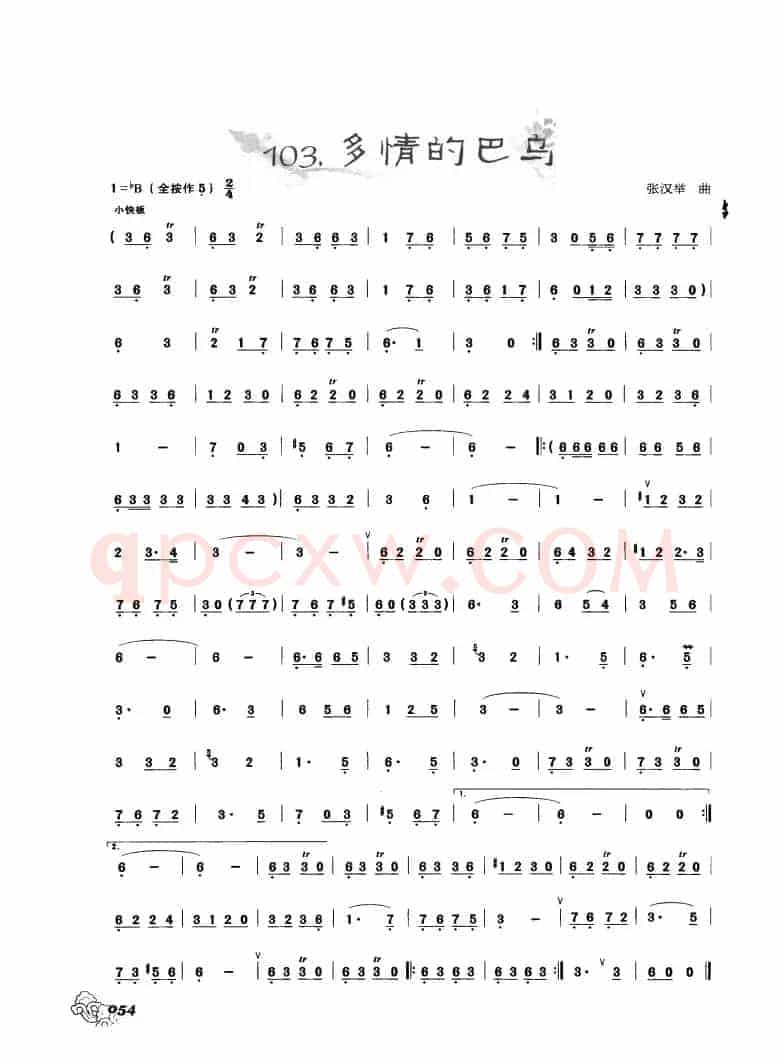 葫芦丝曲精选：多情的巴乌