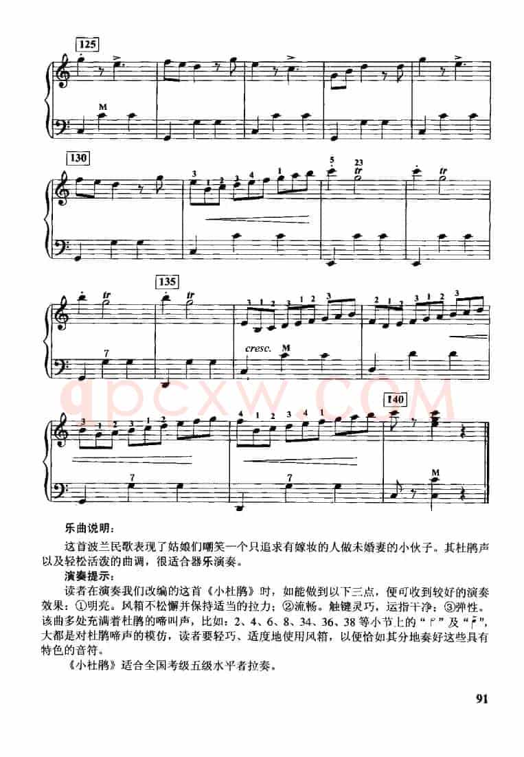 小杜鹃