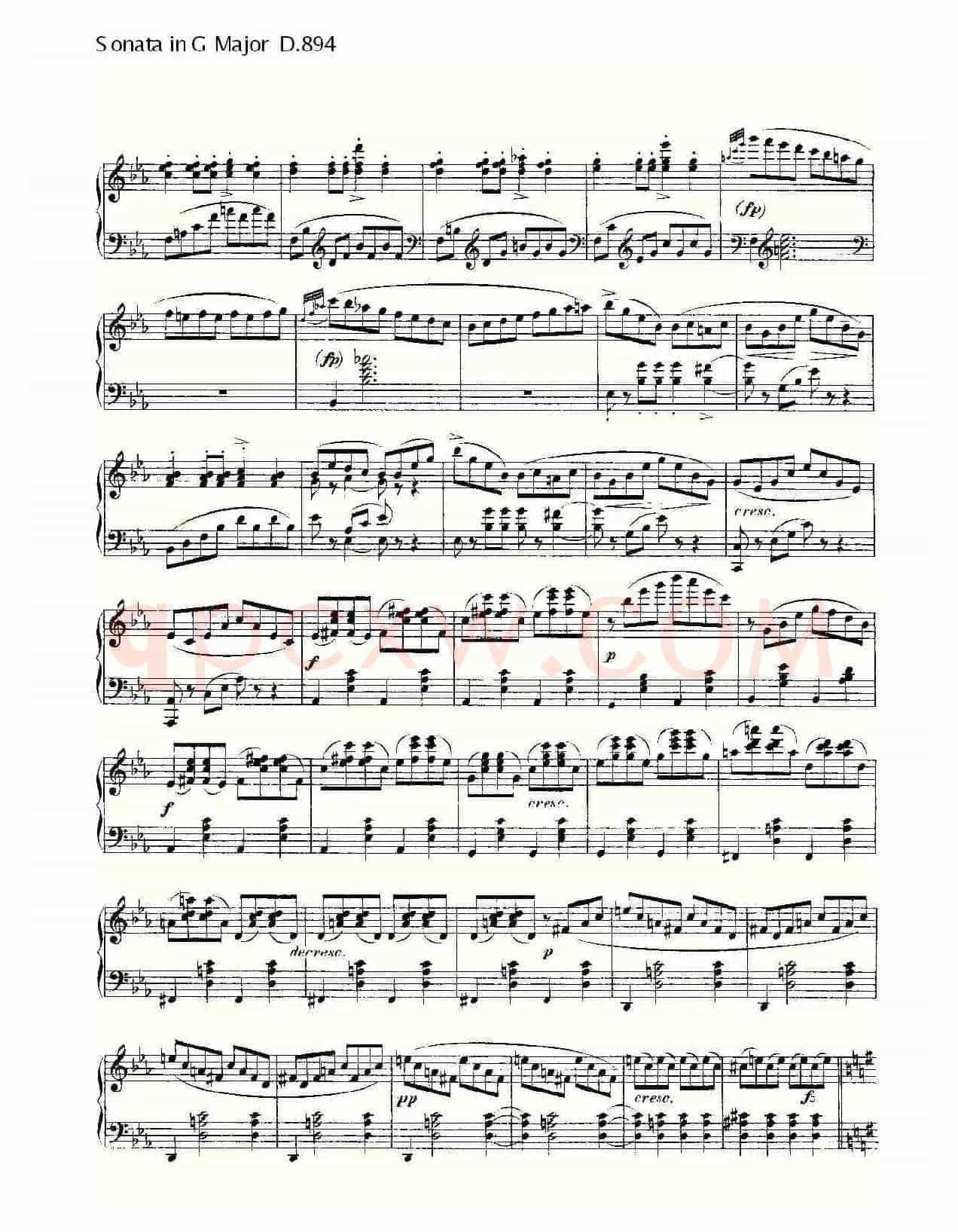 Sonata in G Major D.894(G大调奏鸣曲 D.894)