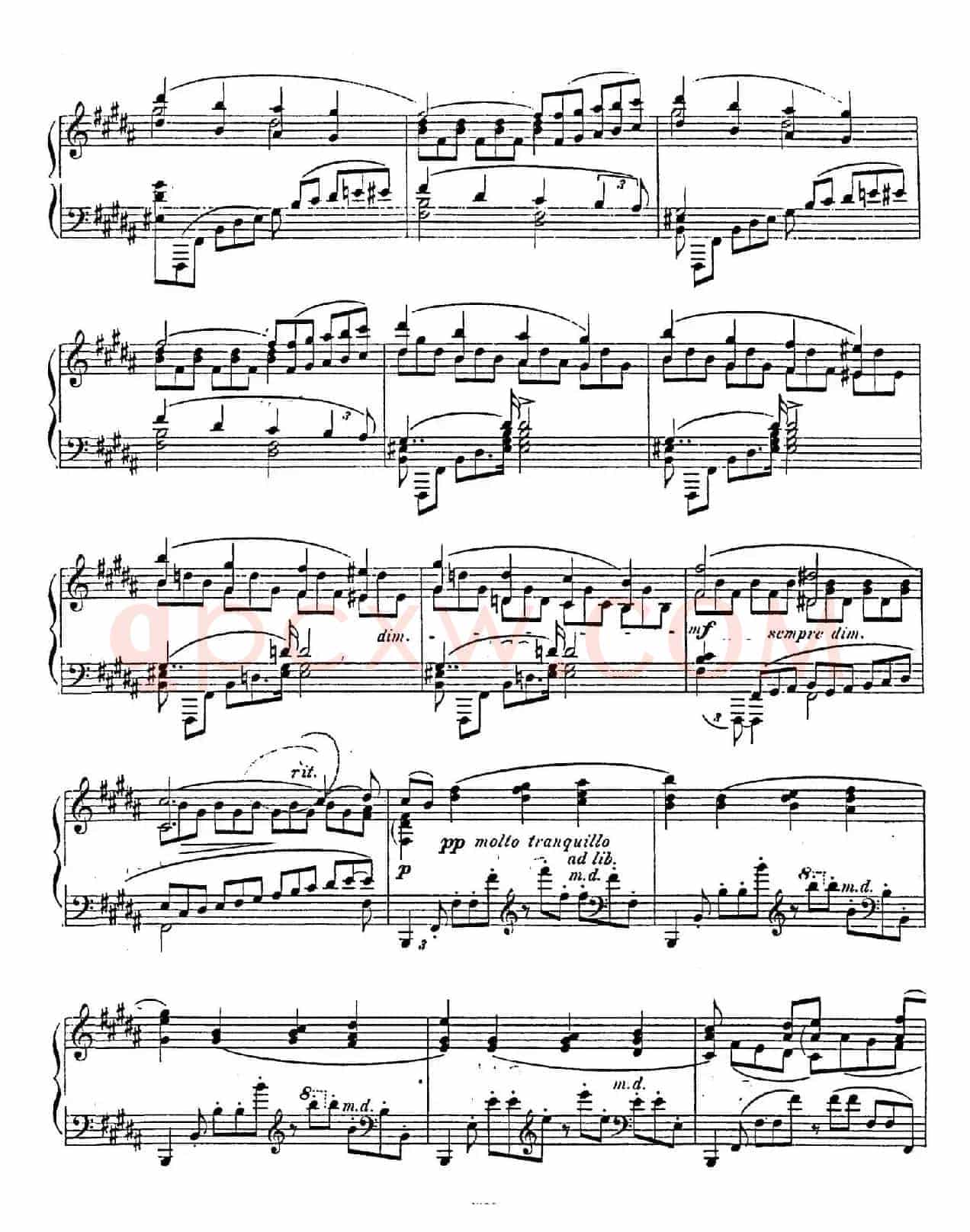 Nocturne Fantasie Op.20（幻想夜曲）