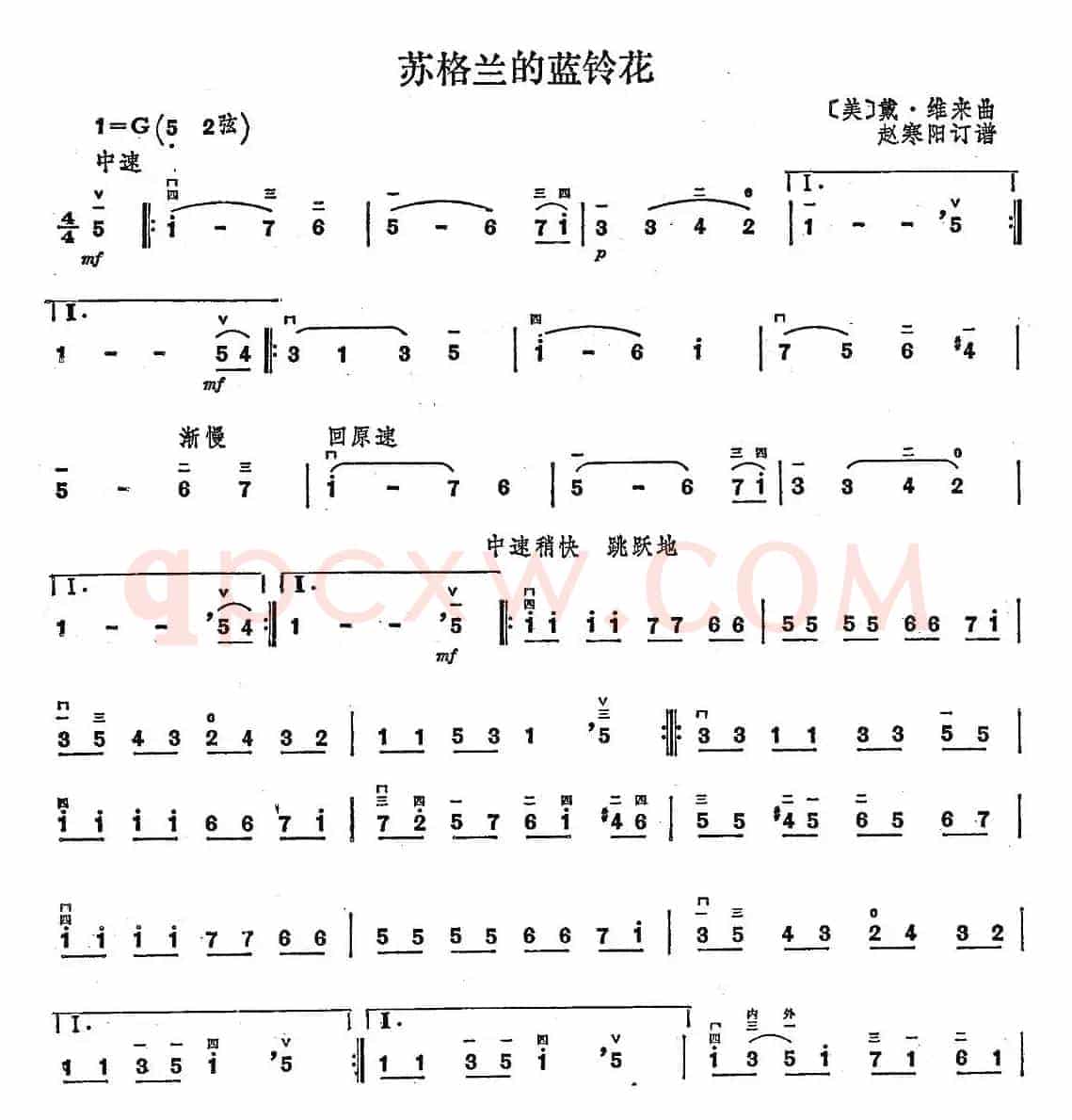 苏格兰的蓝铃花