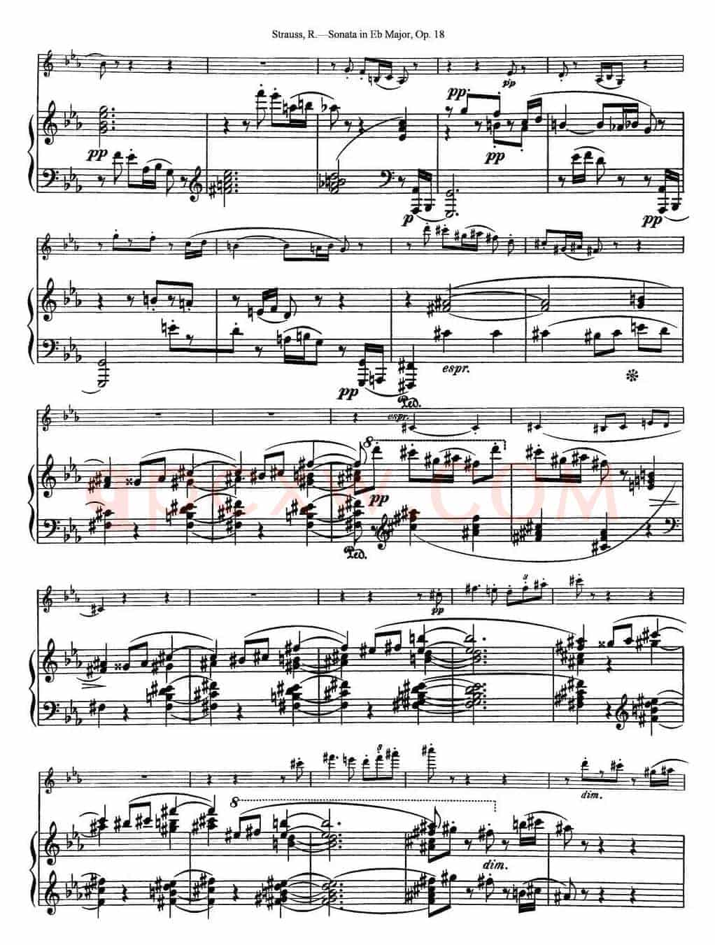 Violin Sonata in Eb Major Op.18（小提琴+钢琴伴奏）