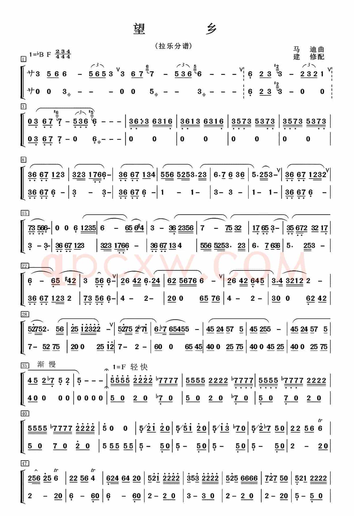 望乡（笛子独奏+乐队伴奏拉弦分谱）