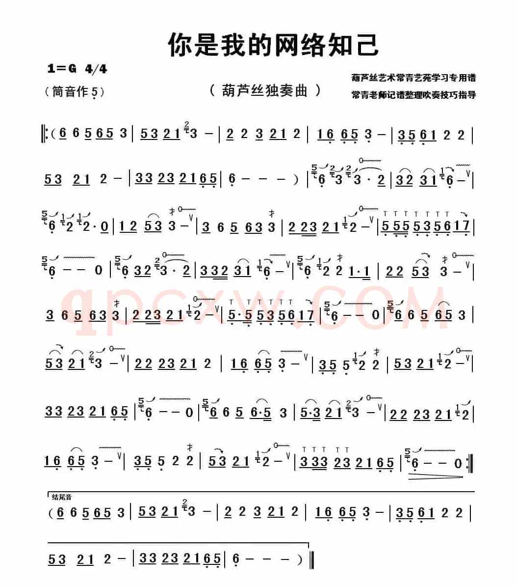 你是我的网络知己