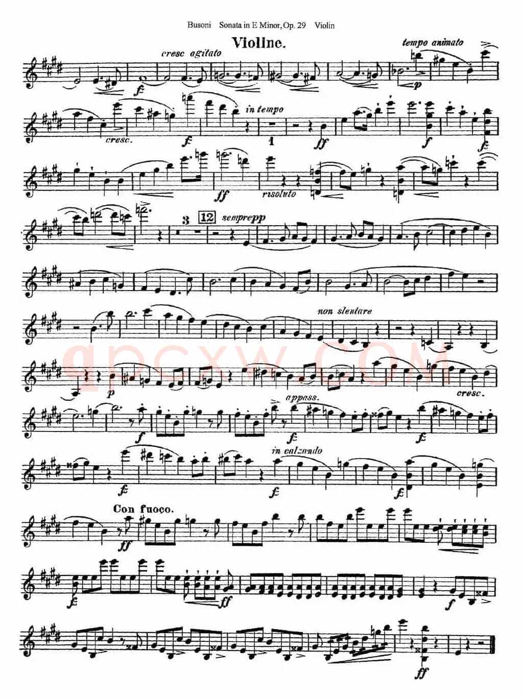 Violin Sonata No.1 in E Minor Op.29