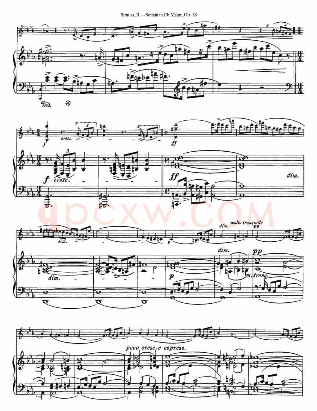 Violin Sonata in Eb Major Op.18（小提琴+钢琴伴奏）
