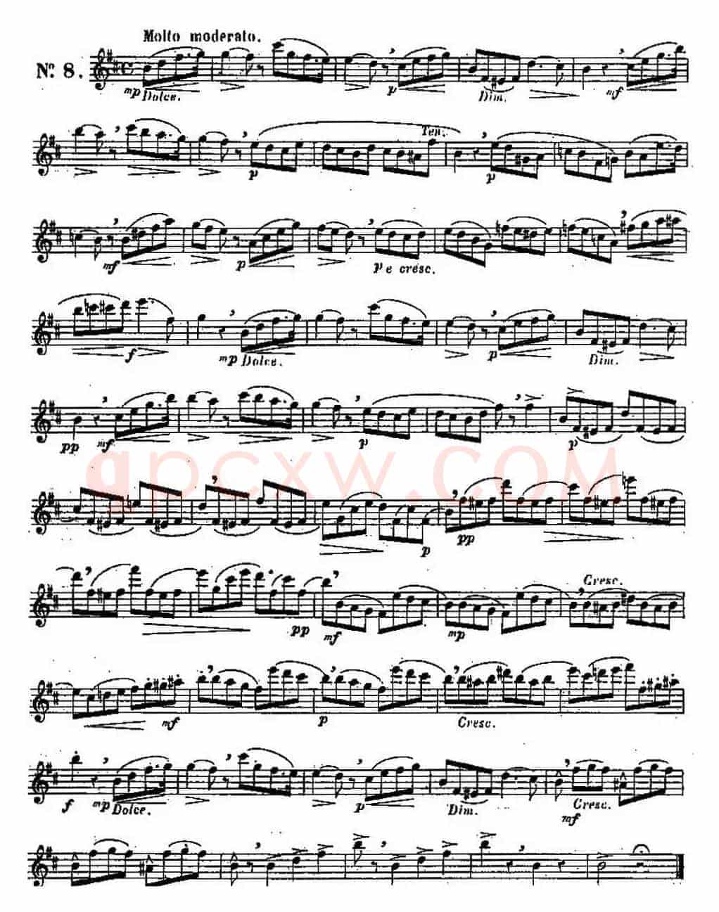 二十首练习曲作品131号（NO.8）