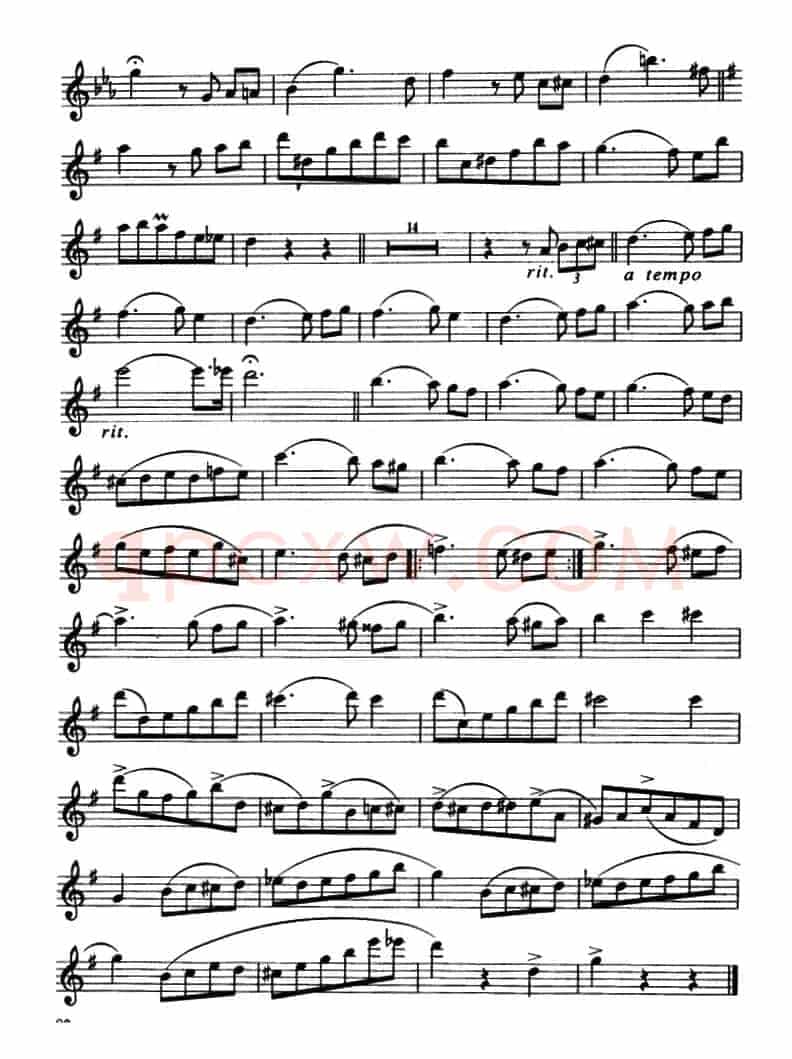 紫罗兰圆舞曲