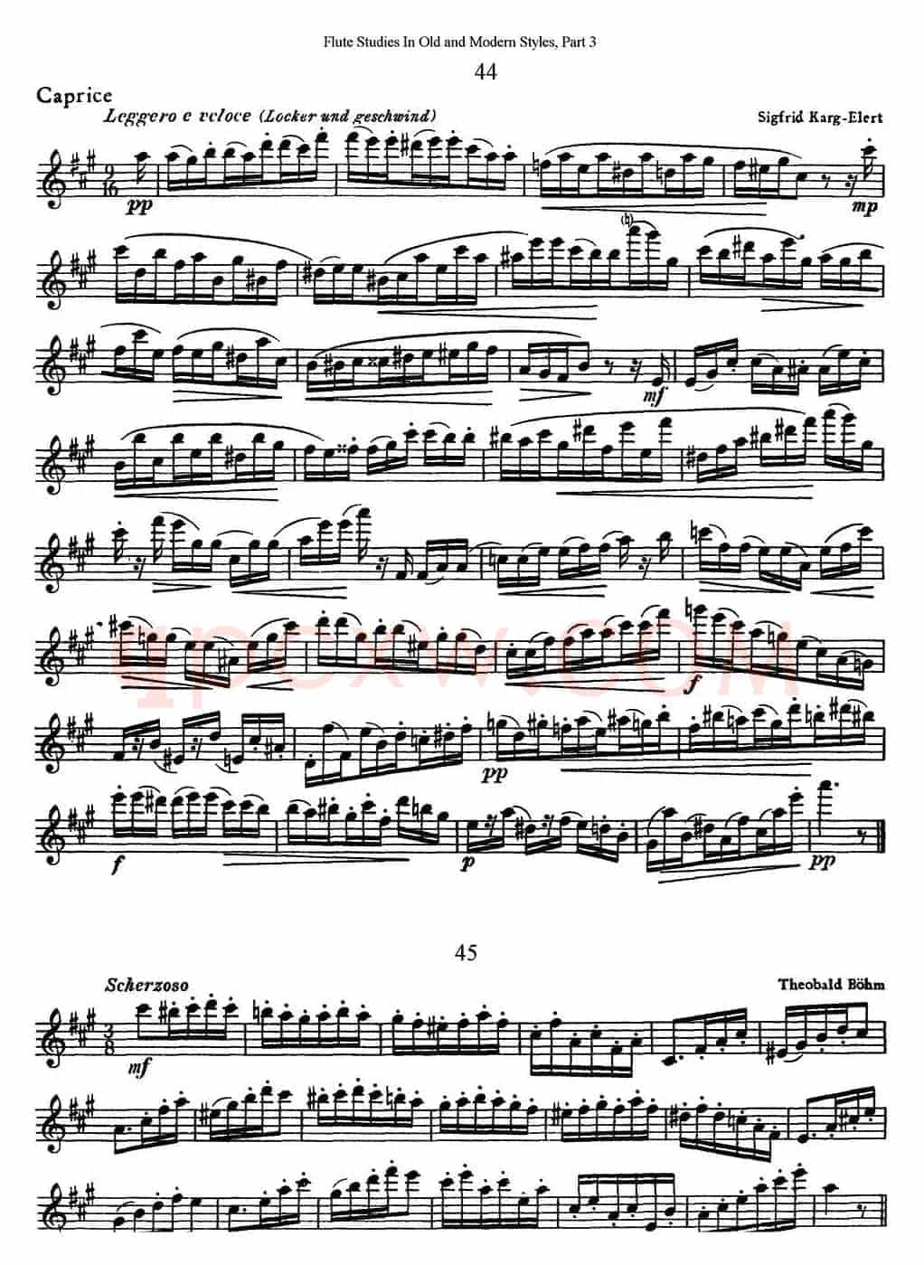 斯勒新老风格长笛练习重奏曲（第三部分）（NO.44-NO.45）