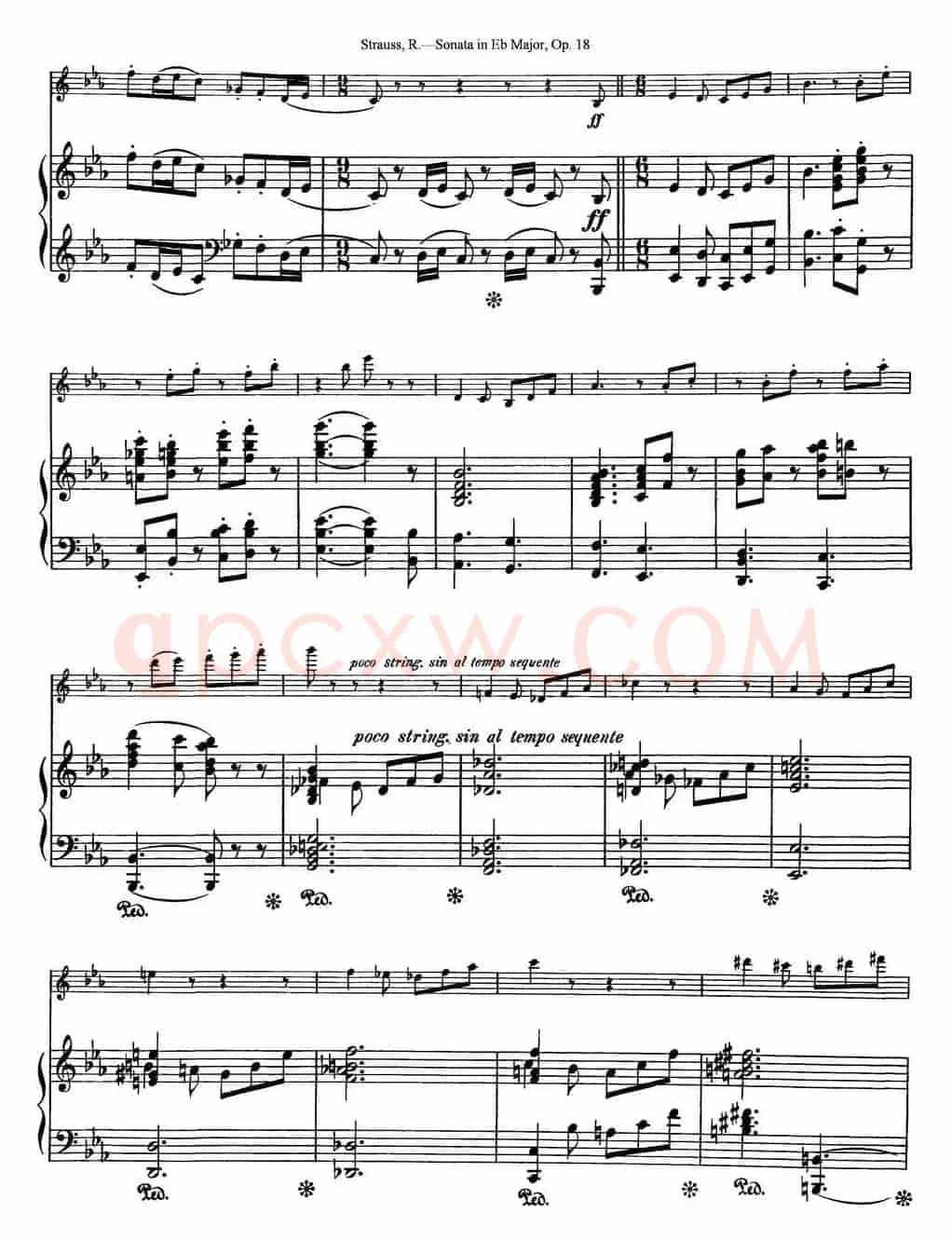 Violin Sonata in Eb Major Op.18（小提琴+钢琴伴奏）