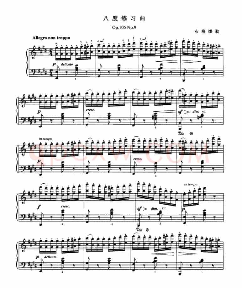 布格缪勒八度练习曲（Op.105 No.9）