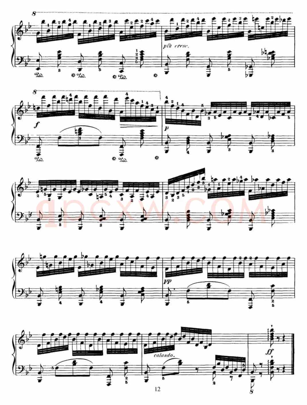 50首车尔尼Op.740钢琴手指灵巧技术练习曲（NO.19）