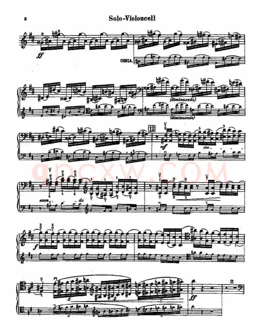 CELLO CONCERTO in B minor（大提琴）