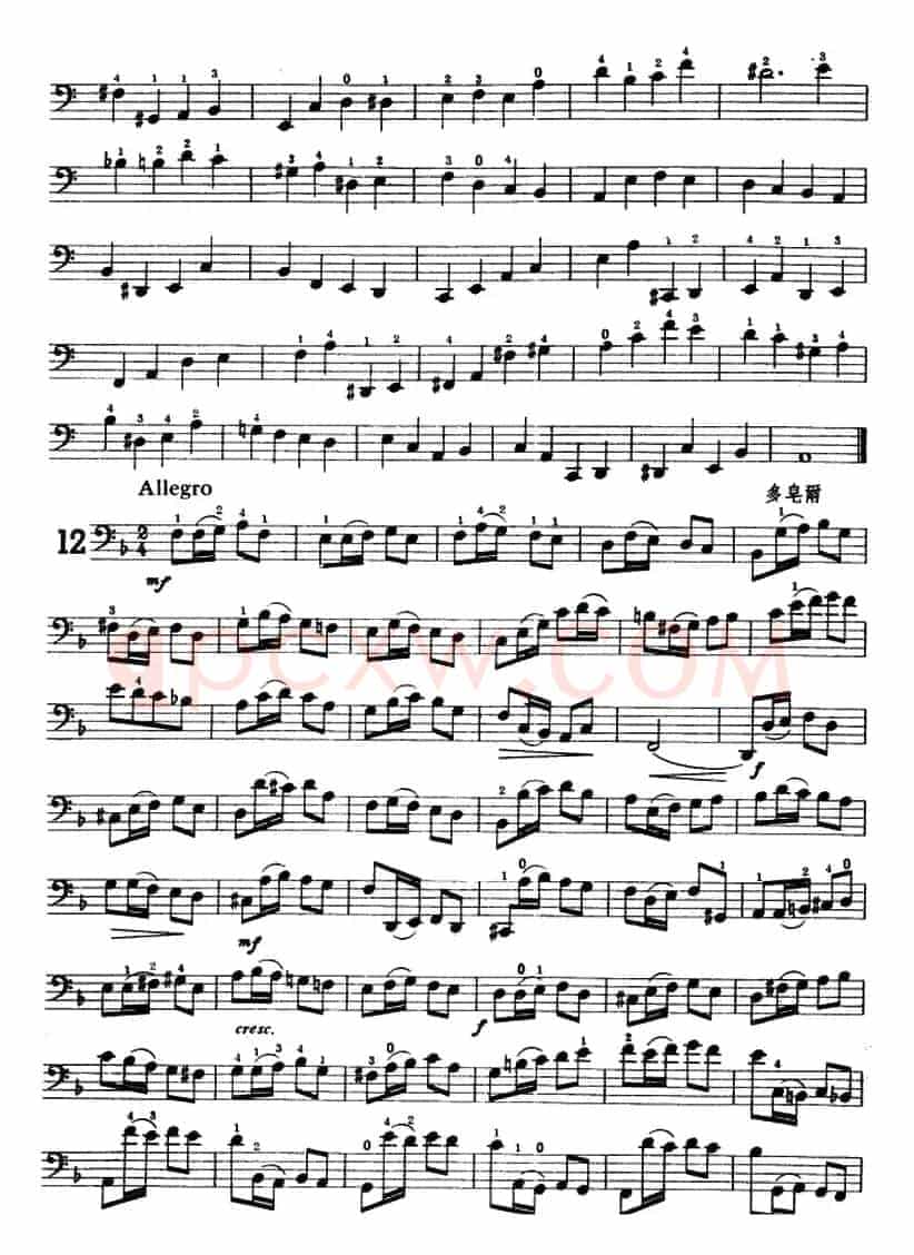 鲍斯特列姆大提琴练习曲（9-13）