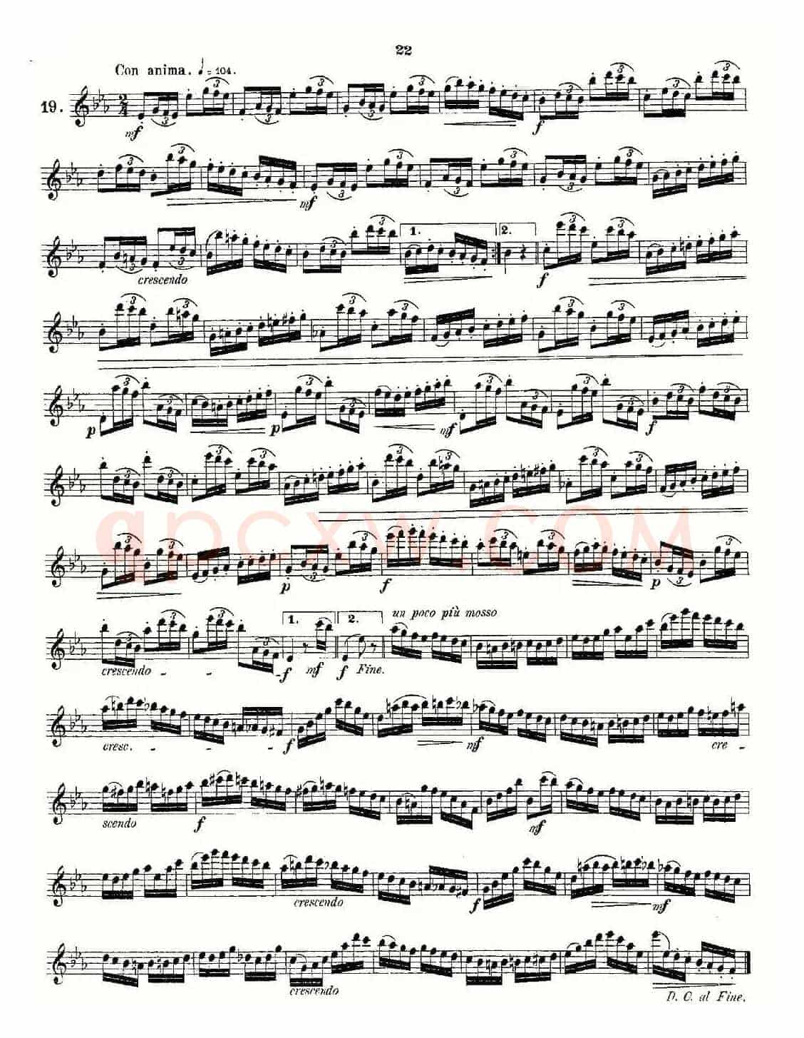 Andersen etude op30 之13—24（练习曲作品30号）