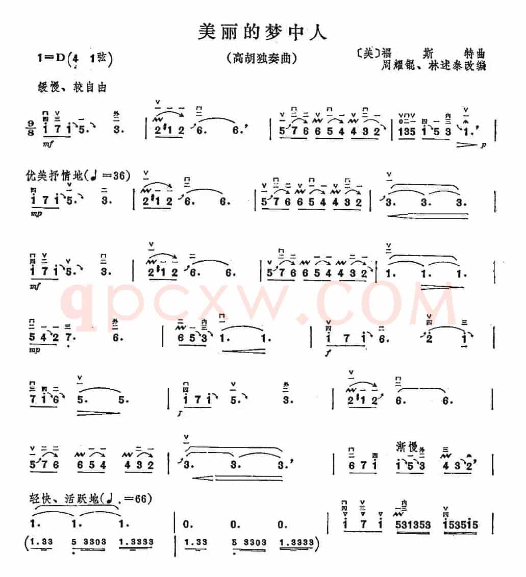 美丽的梦中人（高胡独奏）