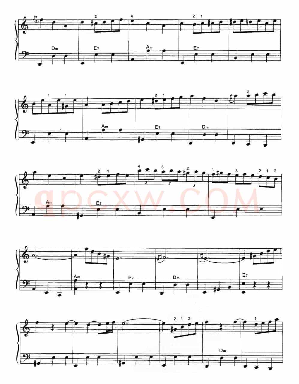 手风琴圆舞曲