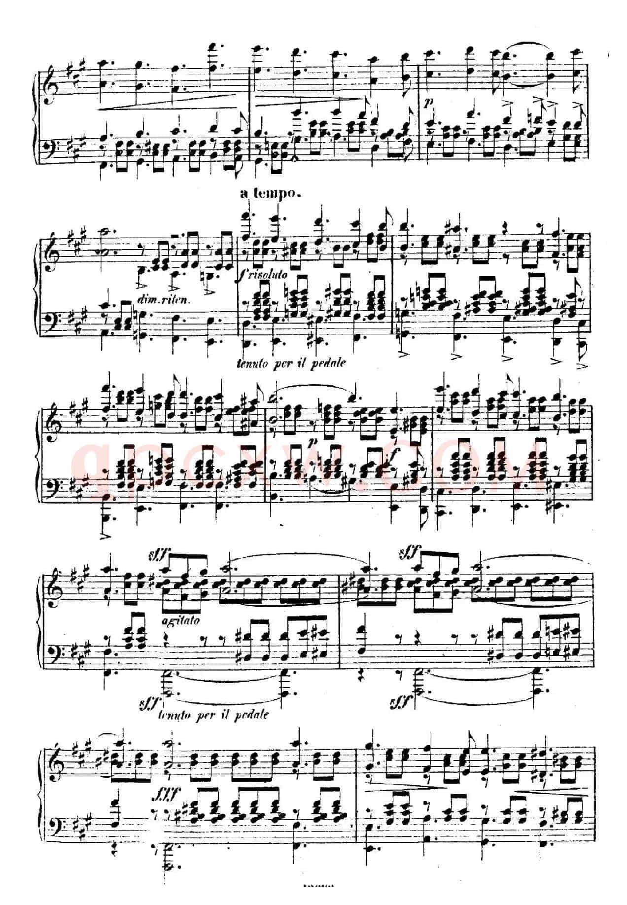 Douze Etudes de Salon Op.5（12首沙龙练习曲·5）