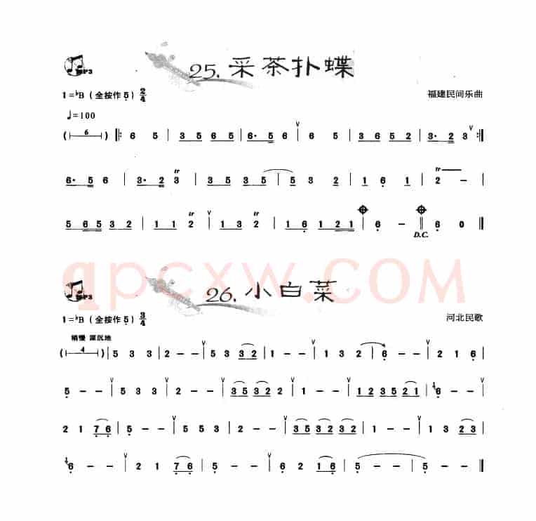 葫芦丝曲精选：采茶扑蝶 小白菜