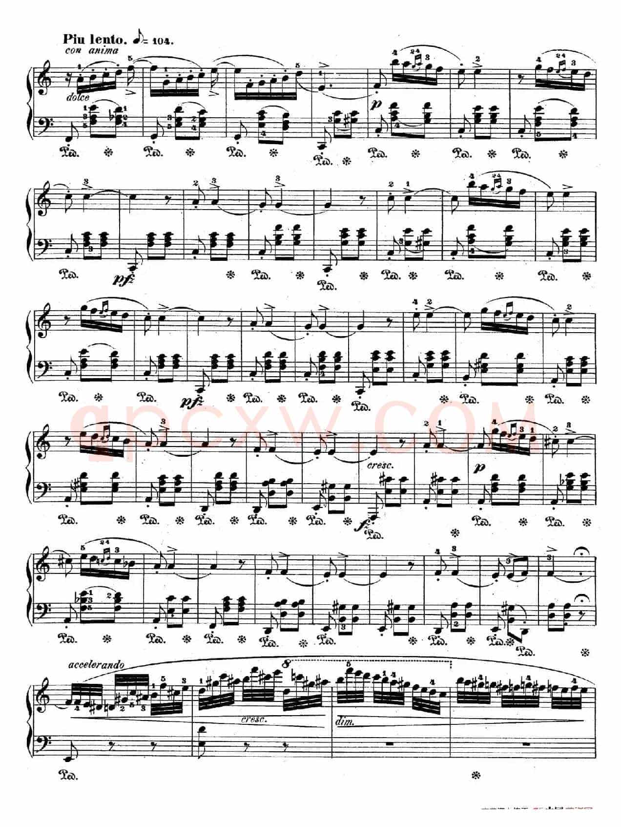 Bolero in C Major Op.19（C大调波莱罗舞曲）