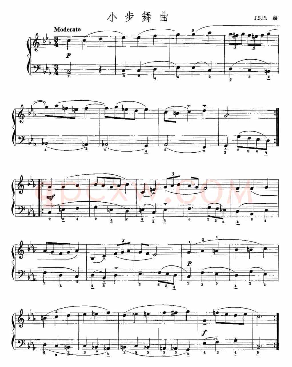 手风琴复调作品：小步舞曲（J.S.巴赫作曲版）