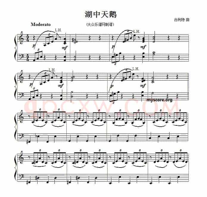 湖中天鹅