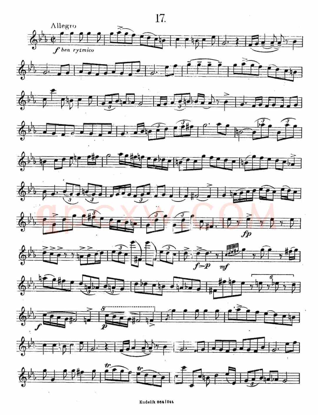 奇特克-萨克斯练习曲之17（ETUDY PRO SAXOPHON - FR ZITRK.op.3）