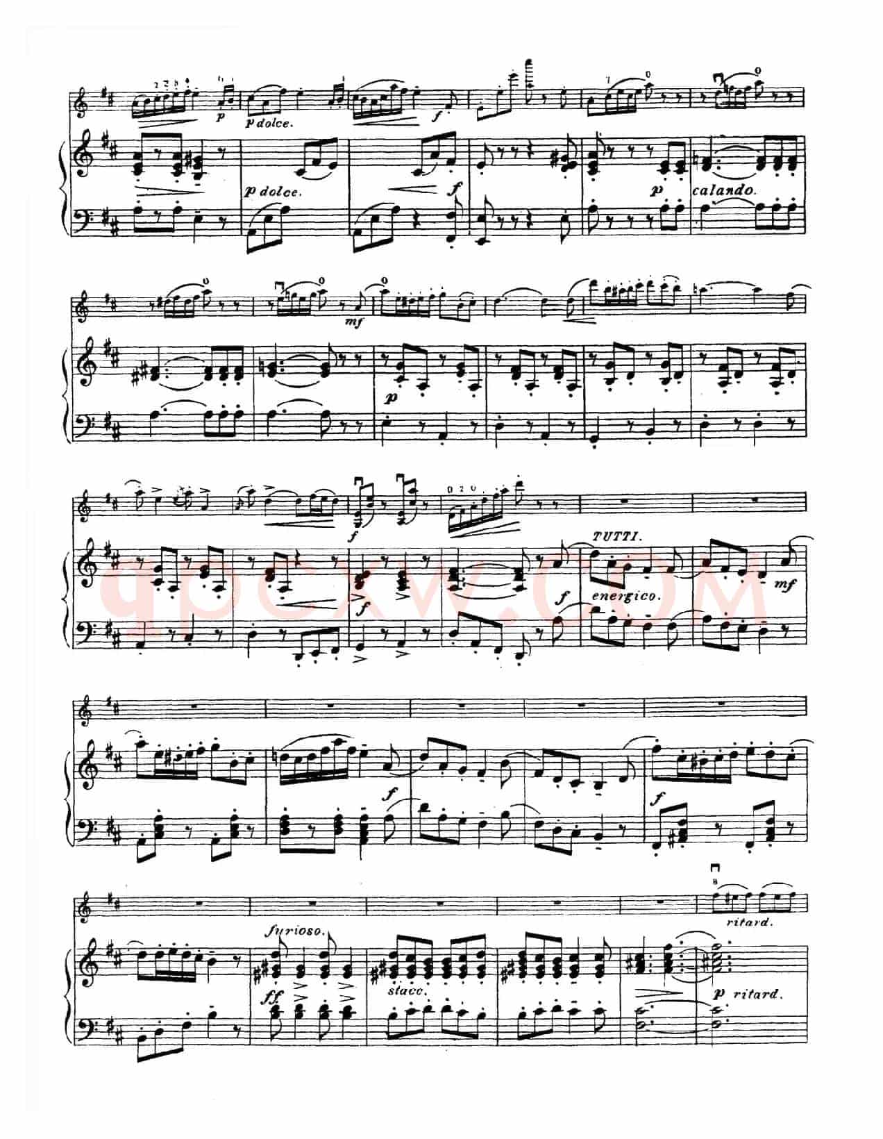 D大调学生协奏曲（塞茨作品第15号）
