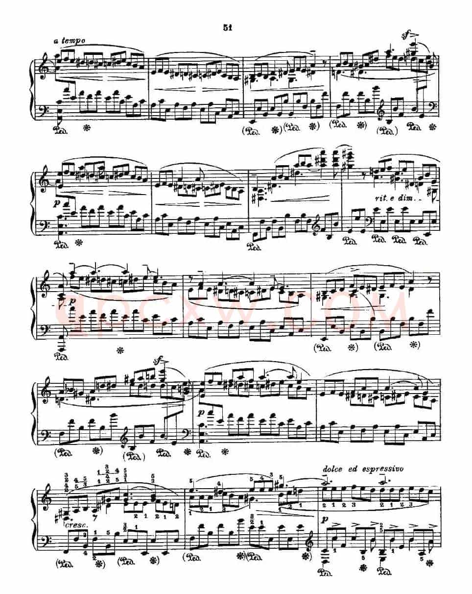 肖邦《练习曲》Fr.Chopin Op.10 No5-3