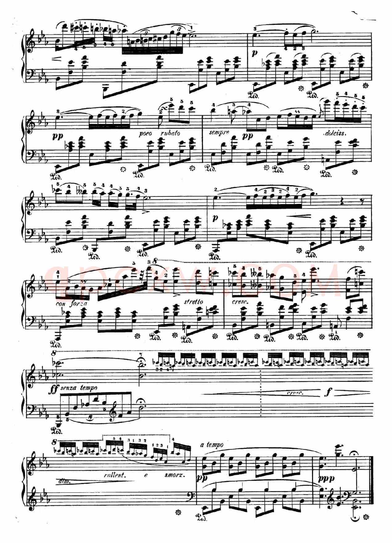 Trois Nocturnes Op.9(Ⅱ)